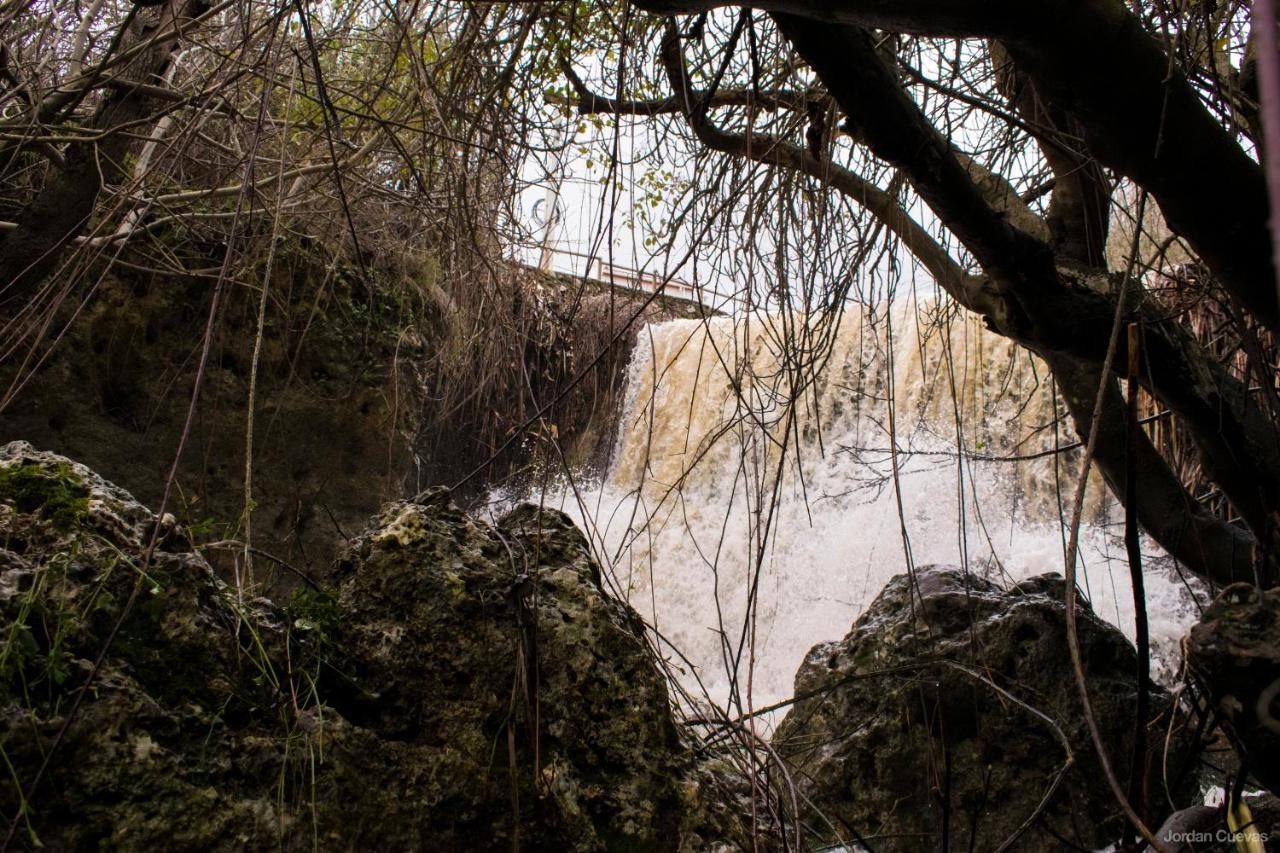Casa Rural Dolores Cuevas del Becerro Eksteriør bilde